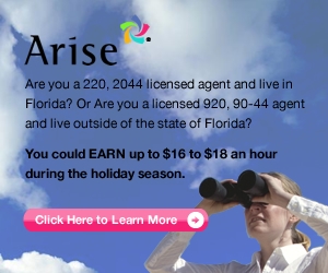 Arise Virtual Solutions - 031910